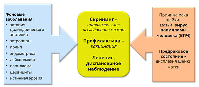 алгоритм действий при раке шейки матки