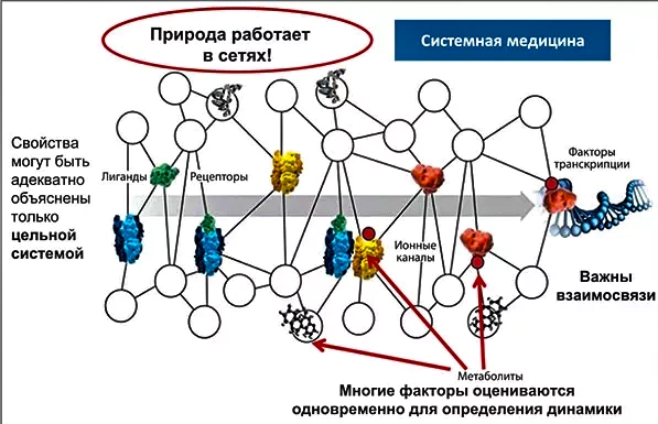 биорегуляционная системная медицина