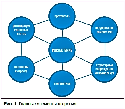 главные элементы старения